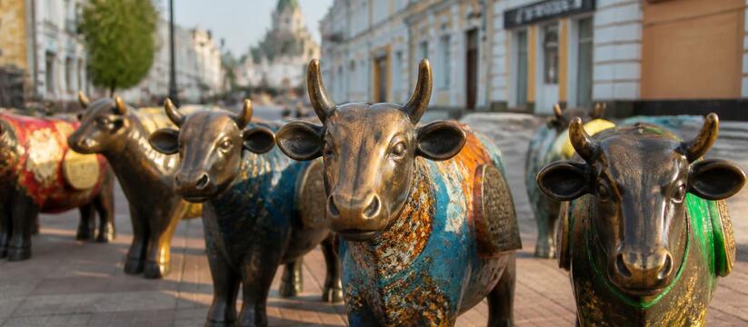 Похищенные туристические бычки вернули в Энгельсе В Энгельсе вернули на туристический маршрут пох...