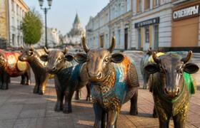Похищенные туристические бычки вернули в Энгельсе